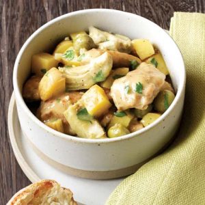 Robust Chicken Stew Recipe