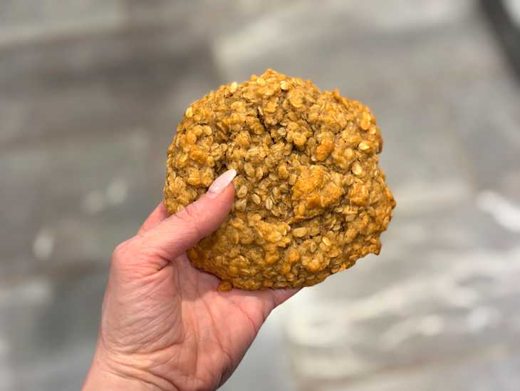 Someone holding oat cookie.