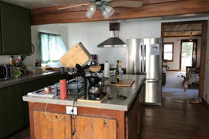 Modern kitchen with green cabinets, stainless steel appliances, coffee maker, and a dog standing in the doorway.