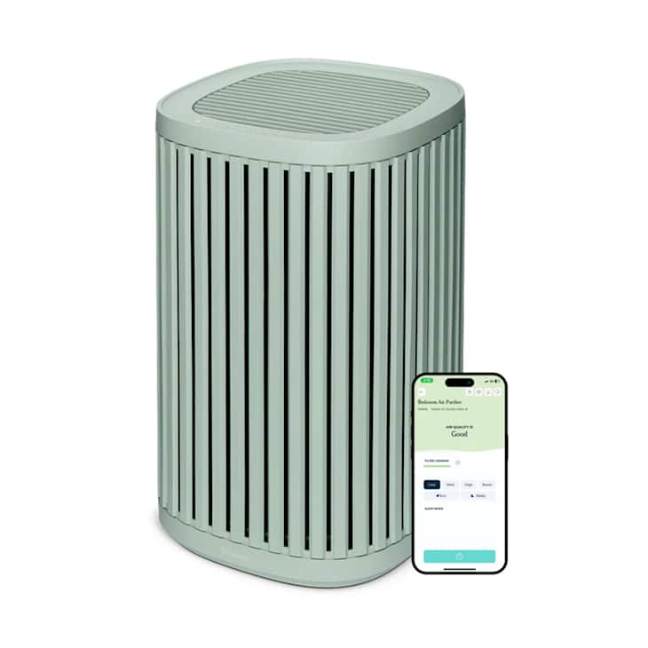 The Windmill Air Purifier at Windmill