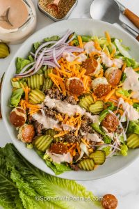 Big Mac Salad Fulfills All Your Desires