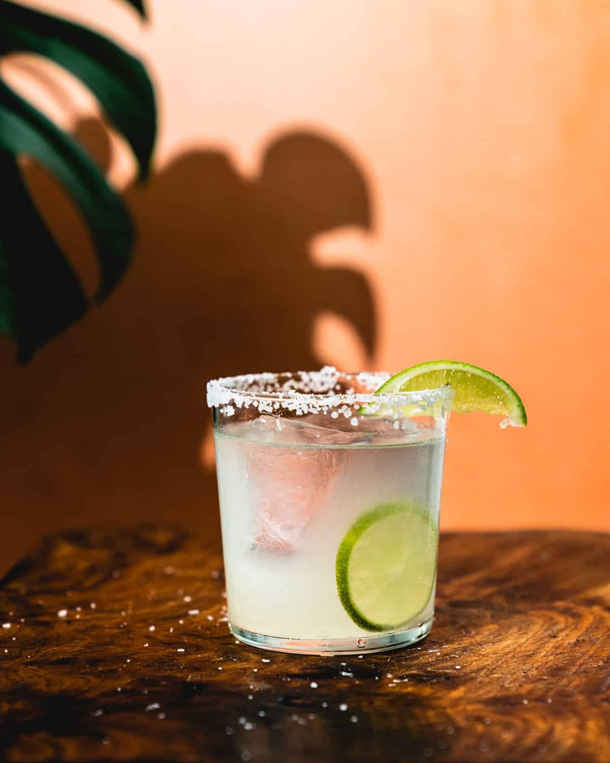 A Handbook to 25 Essential Tequila Drink Recipes