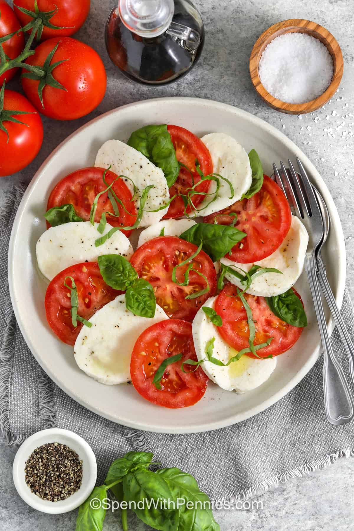 An In-Depth Manual for Crafting a Crisp and Tasty Summer Salad