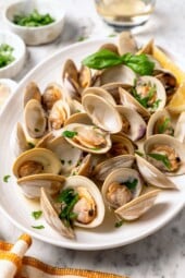 How to Get Ready for and Savor Steamed Clams