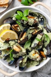 Mussels Prepared in a Creamy Basil Sauce