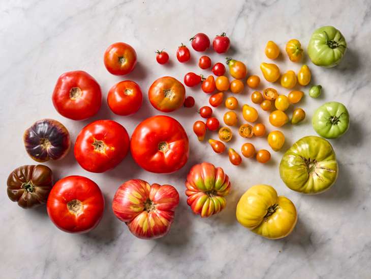overhead shot of all of the types of tomatoes arranged on a marble surface. The types are: grape, vin ripened, pear, plum, globe, cherry, heirloom and beefsteak