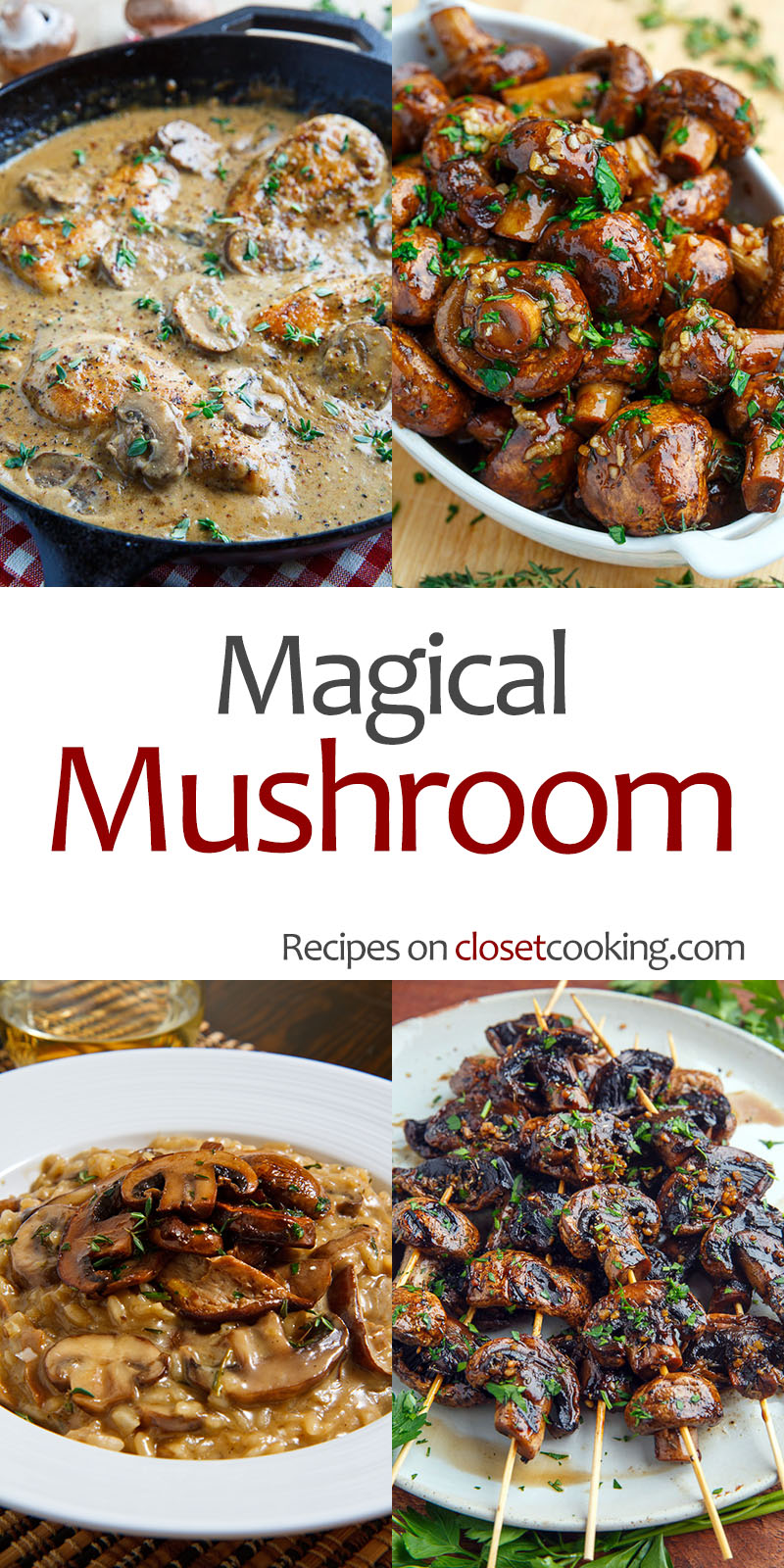 Recipes for Preparing Dishes with Mushrooms